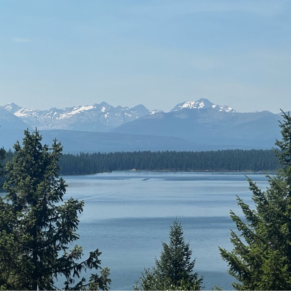 Meet your Posher, Rose - Picture 1 of 1